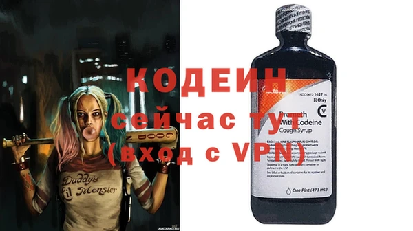 хмурый Абаза