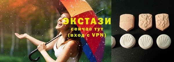 хмурый Абаза