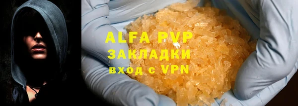 хмурый Абаза