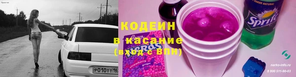 хмурый Абаза