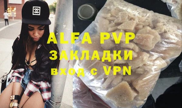 хмурый Абаза