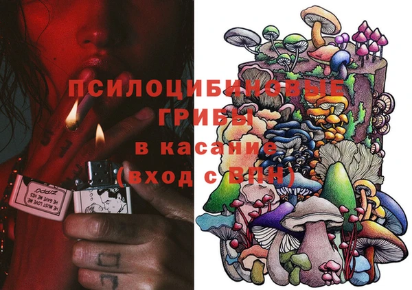 хмурый Абаза